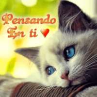 Imagenes de amor para whatsapp