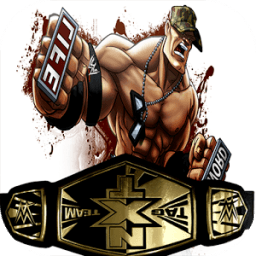 ikon WWE 2K 18 : FIGHTING STREET