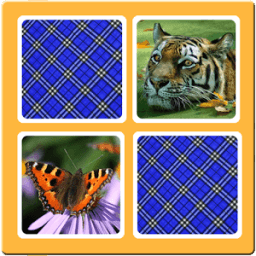 Duo Memory أيقونة