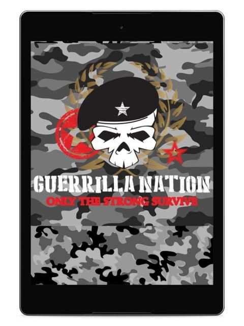 Guerrilla Nation screenshot 10