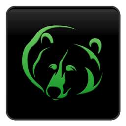 Grizzly VideoPhone 1.6