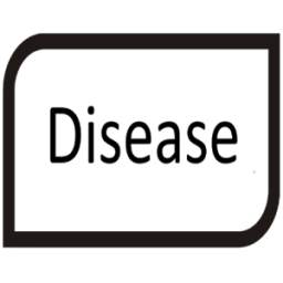 Dictionary Disease Medical