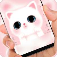 Pink cute Kitty cat Theme