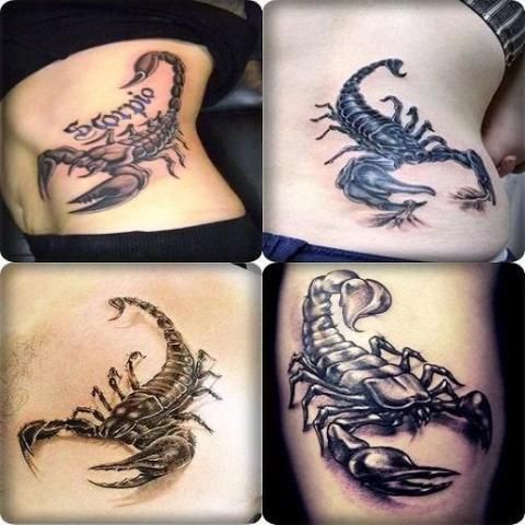 phenominaltattoos on Twitter Awesome 3D Scorpion Tattoo Design Ideas   httpstcohDQqZOrGfr httpstcoyHV1CPzF1t  Twitter