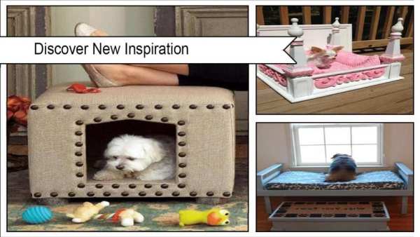 Best DIY Pet Blanket screenshot 4