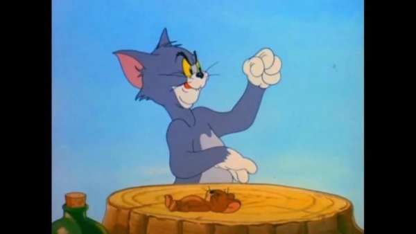 The Tom Cat and Jerry Video screenshot 5