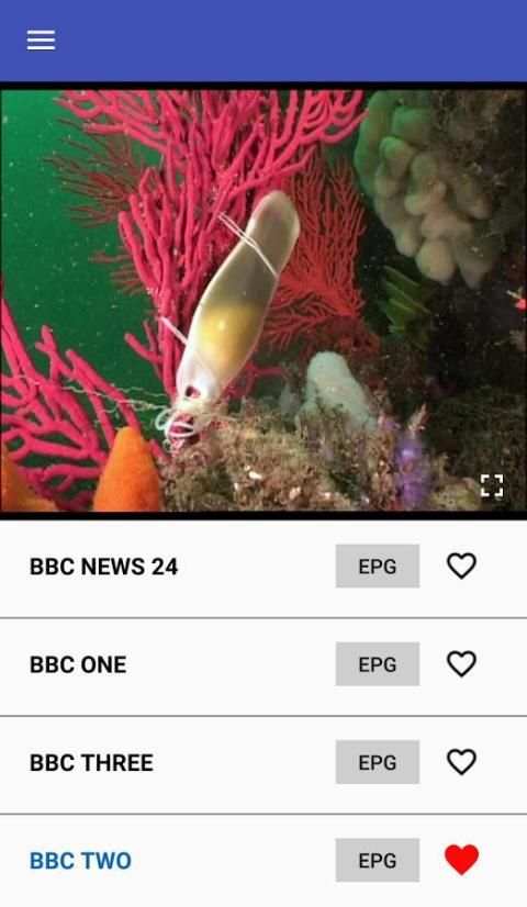 DVB Master screenshot 1