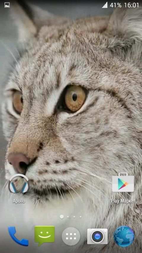 Lynx. Video Wallpaper screenshot 7