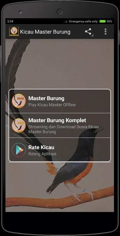 Birds Chirping Master screenshot 1