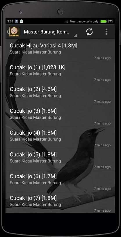 Birds Chirping Master screenshot 4