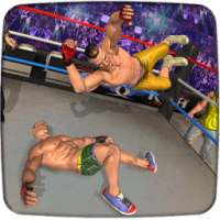 Wrestling WWE Revolution Mayhem Superstar Fighters