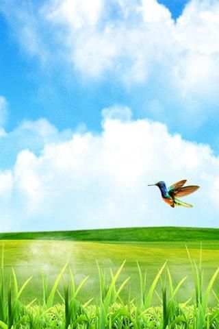 Magic Birds स्क्रीनशॉट 1