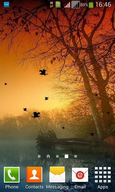 3D Birds LWP for Galaxy S6 -HD скриншот 3