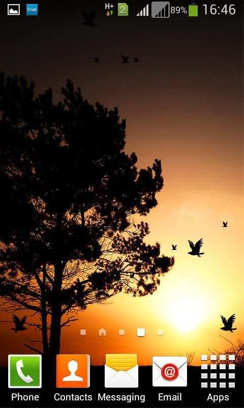 3D Birds LWP for Galaxy S6 -HD скриншот 4