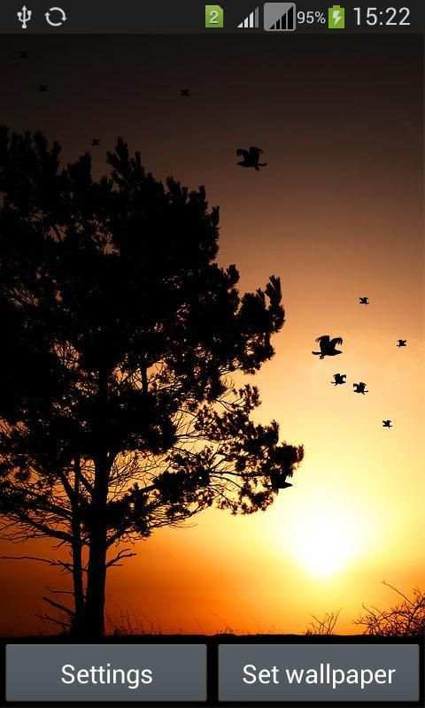 3D Birds LWP for Galaxy S6 -HD скриншот 1