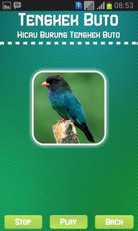 Oriental Dollarbird screenshot 2