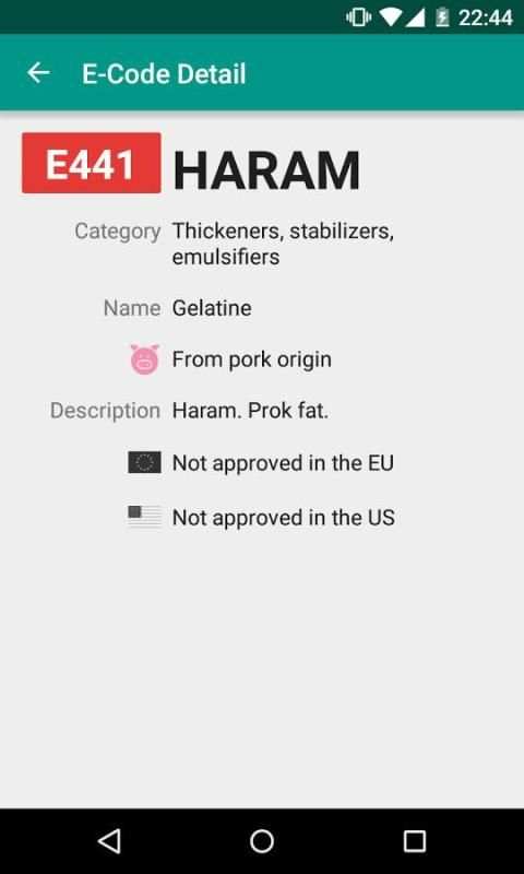 Halal E-Numbers скриншот 6