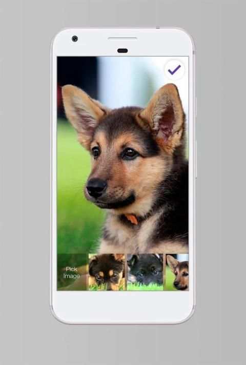 German Shepherd Dog PIN Lock Screen Password screenshot 4