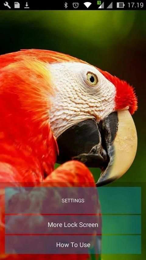 Parrot Lock Screen HD скриншот 4