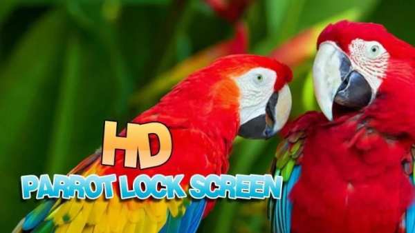 Parrot Lock Screen HD screenshot 1