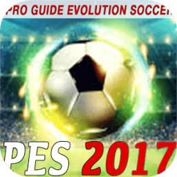 ikon Guide PES 17