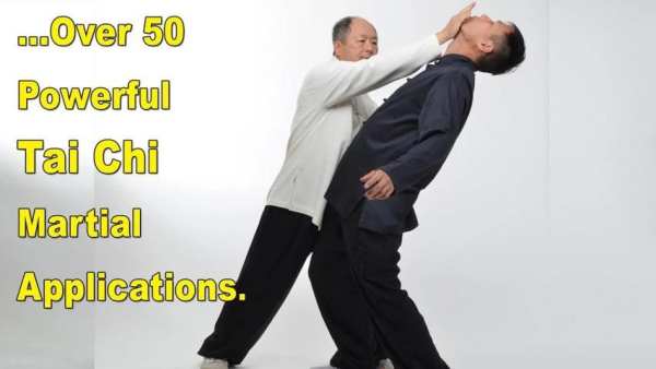 Tai Chi Martial Applications 3 تصوير الشاشة