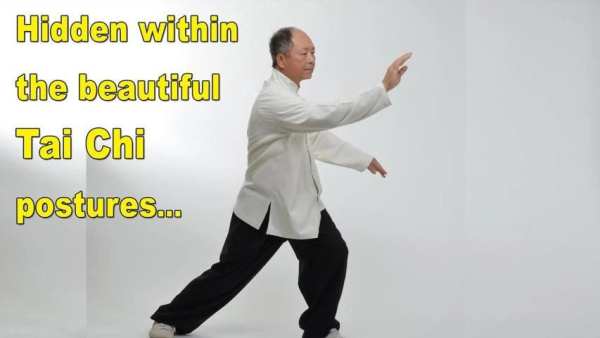 Tai Chi Martial Applications 2 تصوير الشاشة