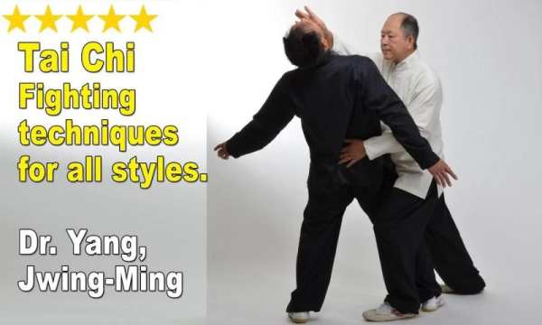 Tai Chi Martial Applications 10 تصوير الشاشة