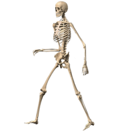 Skeleton Ragdoll, Walking dead أيقونة