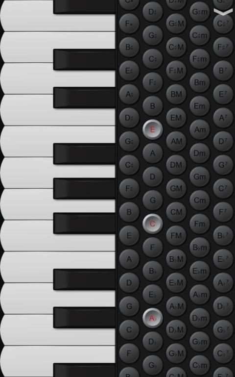 Piano Accordion screenshot 1