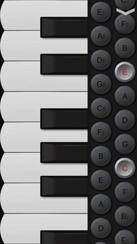 Piano Accordion screenshot 2