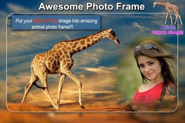 Wild Animal Photo Frames - Animal Photo Editor screenshot 4