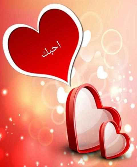 Photo Edit View محرر الصور screenshot 5