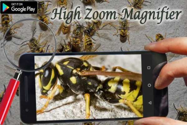Loupe Glass Magnifier Zoom Camera HD - Pro скриншот 1