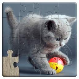 Cats Jigsaw Puzzles Games - For Kids & Adults *