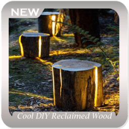 Cool DIY Reclaimed Wood Projects иконка