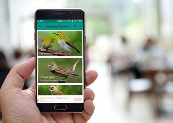 Kumpulan Suara Burung Offline скриншот 6