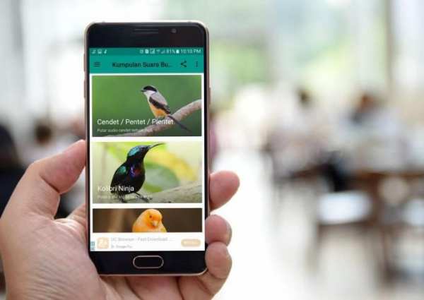 Kumpulan Suara Burung Offline скриншот 2