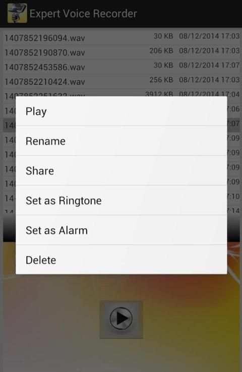 Expert Voice Recorder screenshot 6