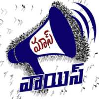 Mass Voice