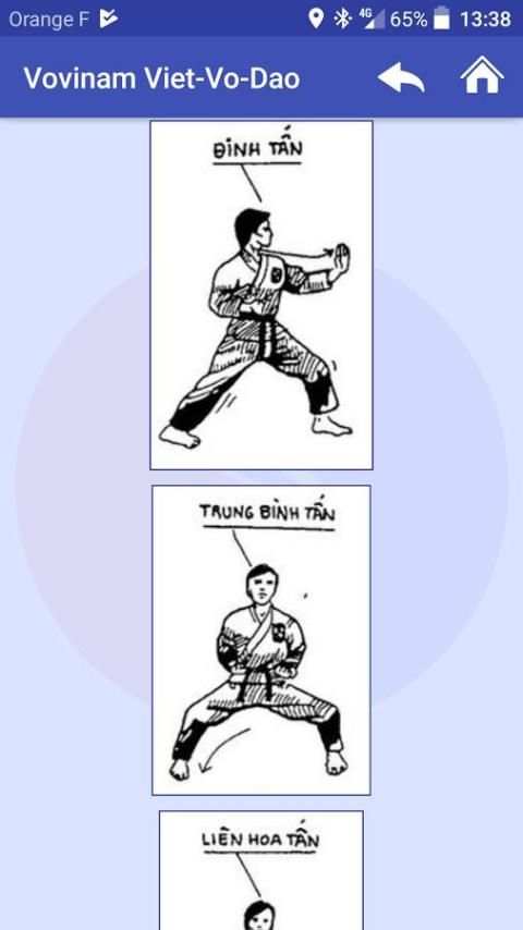 Vovinam Viet-Vo-Dao screenshot 4