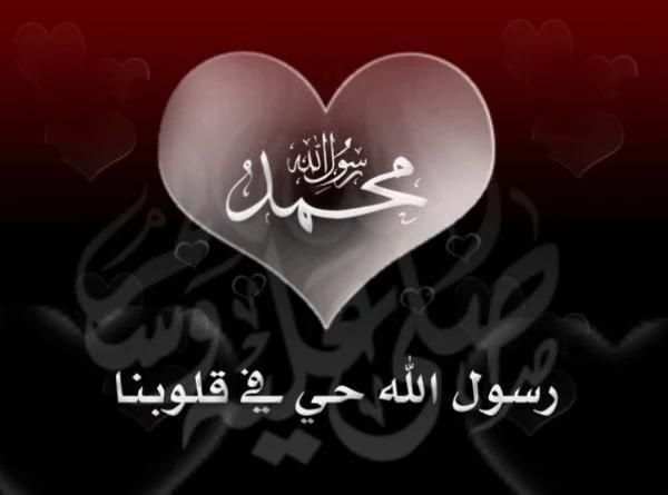صور اسلامية:(اذكارواحاديث) screenshot 8