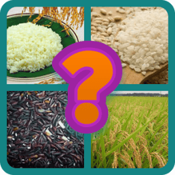 Kuis Gambar иконка