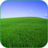 Green Fields 3D Wallpaper