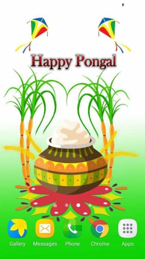 Pongal Live Wallpaper screenshot 5