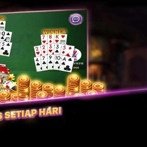 Capsa Susun Queen screenshot 3