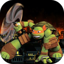 ikon Turtles shadows ninja