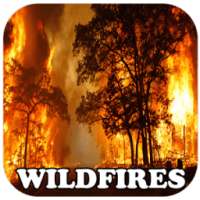 Corona wildfire Southern California wildfire :News