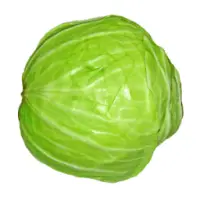 Patta Gobi For Health APK Download 2023 - Free - 9Apps Patta Gobi For Health APK Download 2023 - Free - 9Apps