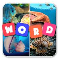 4 Pics One Word